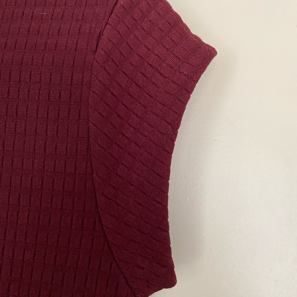 Banana Republic Petite Maroon Dress - Picture 4 of 8